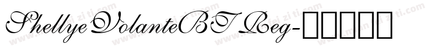 ShellyeVolanteBT Reg字体转换